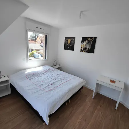 48m², Strasbourg Centre A 15 Min En Train