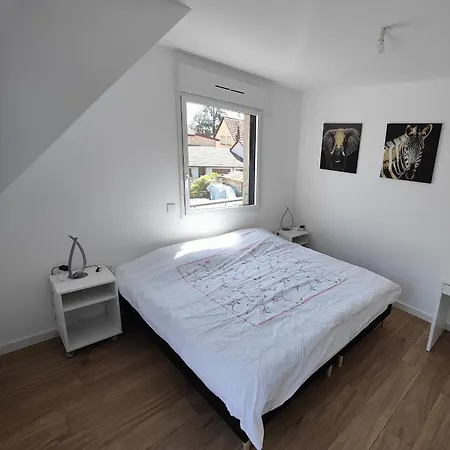 Apartment 48m², Strasbourg Centre A 15 Min En Train Fegersheim