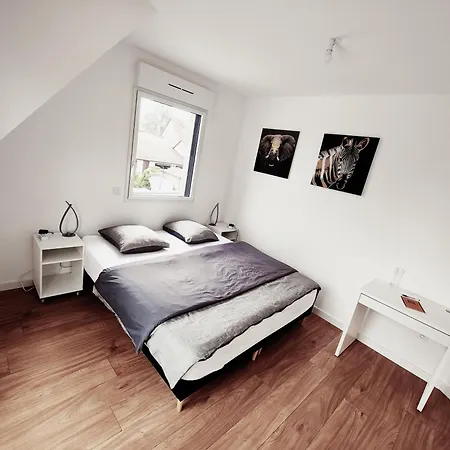 Apartment 48m², Strasbourg Centre A 15 Min En Train